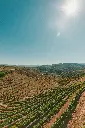 image_1920