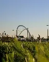 unsplash_uDc8E0hFmb4_MEDINA.webp.jpg.jpg.jpg.jpg.jpg.jpg.jpg