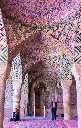 unsplash_OYTO1UKJK3M_Iran.webp.jpg.jpg.jpg.jpg.jpg.jpg.jpg.jpg.jpg.jpg.jpg.jpg.jpg.jpg.jpg