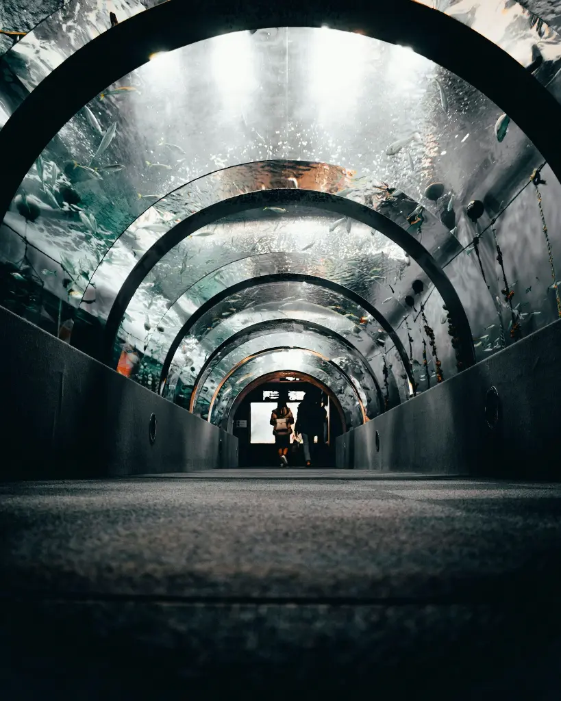 unsplash_D7IcKggZFa4_Sydney tower eye.webp.jpg