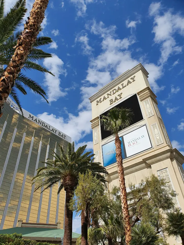 unsplash_oCxCUpheojc_Las Vegas.webp.jpg.jpg.jpg.jpg.jpg.jpg