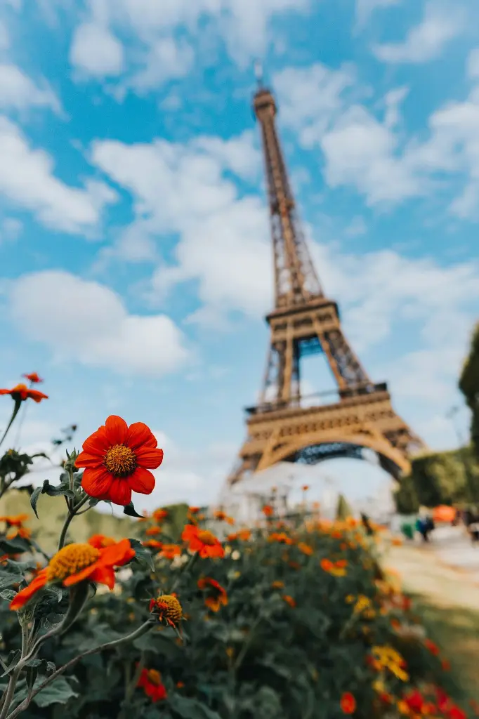unsplash_EobQaSfI-EY_France.webp.jpg.jpg