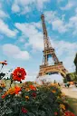 unsplash_EobQaSfI-EY_France.webp.jpg.jpg