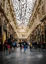 unsplash_U1EqiOO-msI_Belgium.webp.jpg
