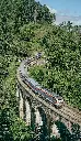 unsplash_gE1qG4s8DKY_rail bridge  forest.webp