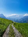 unsplash_Pd9p-f006VU_LIECHTENSTEIN .webp.jpg