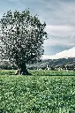 unsplash_JdYt8SqG99A_LIECHTENSTEIN .webp.jpg.jpg.jpg.jpg