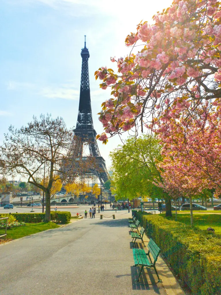 unsplash_Jd1FUJssNFE_PARIS.webp