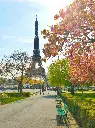 unsplash_Jd1FUJssNFE_PARIS.webp