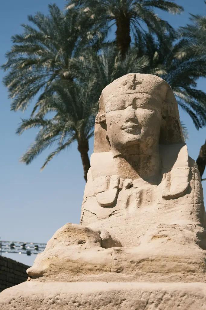 unsplash_hH9D8myPp34_CAIRO.webp.jpg.jpg.jpg.jpg.jpg