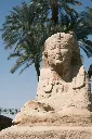 unsplash_hH9D8myPp34_CAIRO.webp.jpg.jpg.jpg.jpg.jpg