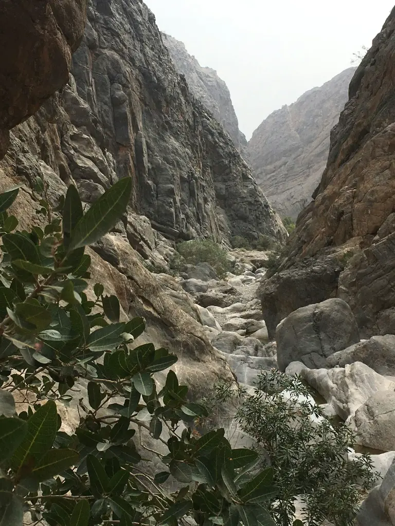 unsplash_RtEyaCTYi10_Oman.webp.jpg