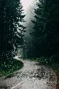 unsplash__EMkxLdko9k_Cheonjeyeon Waterfall.webp.jpg