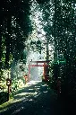 unsplash_kaoHI0iHJPM_Japan.webp