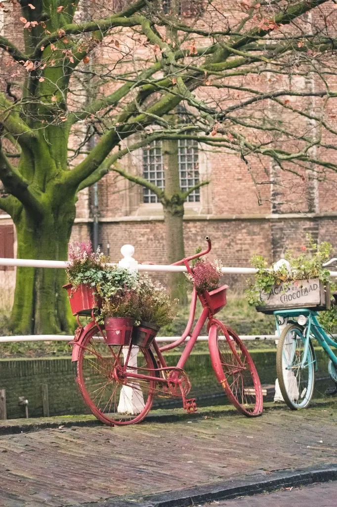 unsplash_XpKeoX78y2U_NETHERLANDS.webp.jpg.jpg.jpg.jpg.jpg.jpg.jpg.jpg