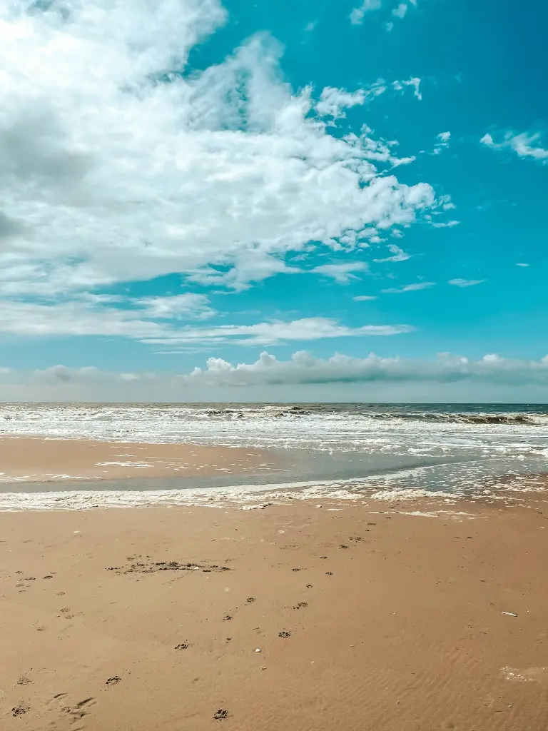 unsplash_YBjDHBLt8jQ_NETHERLANDS.webp.jpg.jpg.jpg.jpg