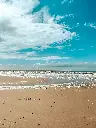unsplash_YBjDHBLt8jQ_NETHERLANDS.webp.jpg.jpg.jpg.jpg