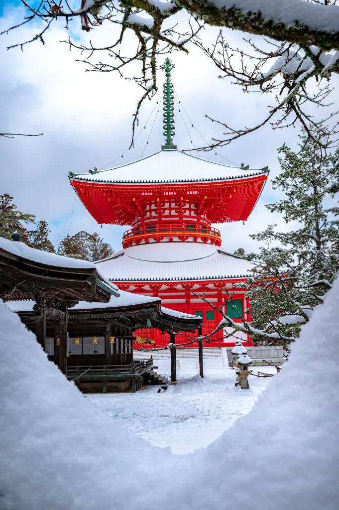 unsplash_IdW3BkyMCbU_TOKYO.webp.jpg.jpg.jpg.jpg.jpg.jpg
