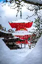 unsplash_IdW3BkyMCbU_TOKYO.webp.jpg.jpg.jpg.jpg.jpg.jpg