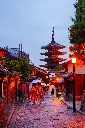 unsplash_Qiw63GpWN6w_TOKYO.webp.jpg.jpg.jpg.jpg.jpg.jpg.jpg