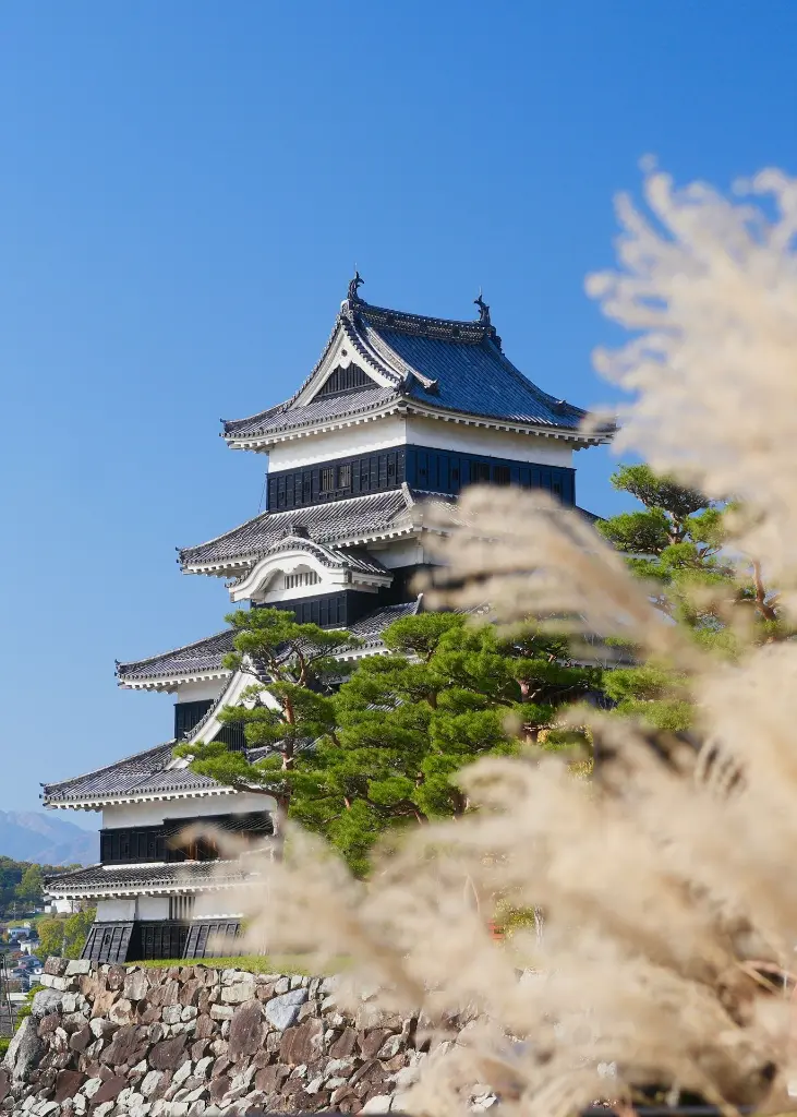 unsplash_4b07ryuI4kE_TOKYO.webp.jpg.jpg.jpg.jpg.jpg.jpg.jpg.jpg.jpg