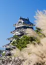 unsplash_4b07ryuI4kE_TOKYO.webp.jpg.jpg.jpg.jpg.jpg.jpg.jpg.jpg.jpg
