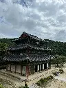 unsplash_CFiGXkx5dt0_TOKYO.webp.jpg.jpg.jpg.jpg.jpg.jpg.jpg.jpg.jpg.jpg.jpg