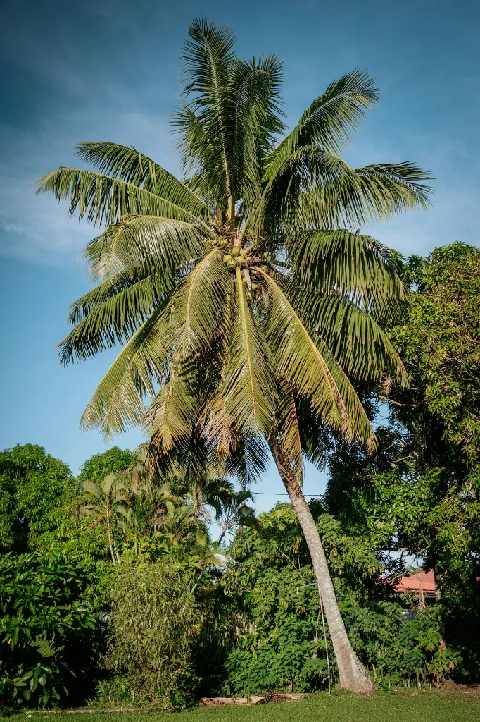 unsplash_dczmMOmOWVQ_cruise.webp.jpg