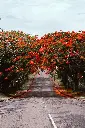 unsplash_c-JfVqxzigY_Fiji.webp.jpg