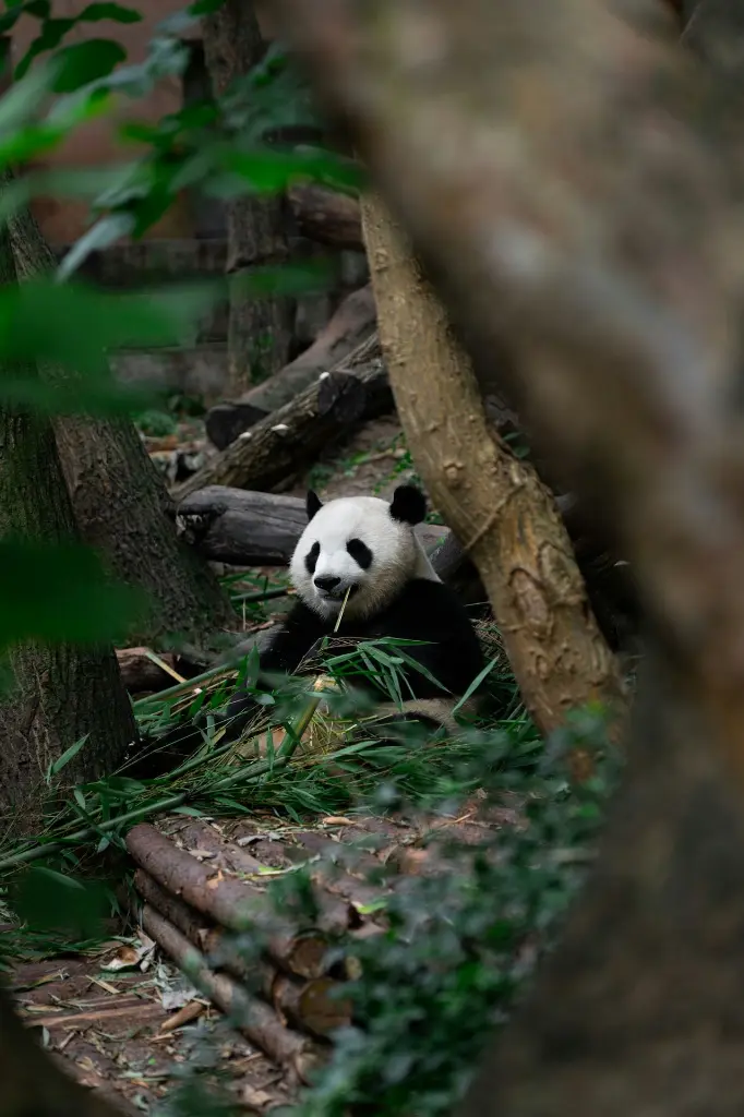 unsplash_eE6XzJNjFJI_BEIJING.webp.jpg.jpg.jpg.jpg.jpg.jpg.jpg
