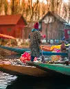 unsplash_DI0u4RnUNwA_Jammu  Kashmir.webp