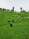 unsplash_5NKp3ozgiqU_Jammu  Kashmir.webp.jpg
