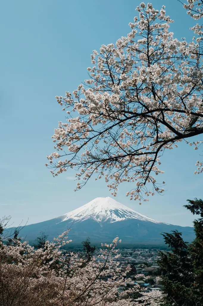 unsplash_hy9UHdP5yMo_south Korea.webp.jpg.jpg.jpg.jpg.jpg.jpg.jpg