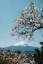 unsplash_hy9UHdP5yMo_south Korea.webp.jpg.jpg.jpg.jpg.jpg.jpg.jpg