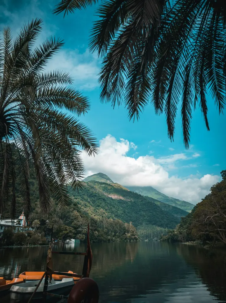 unsplash_-ArrRtr9hH8_Himachal.webp.jpg