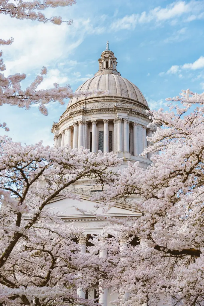 unsplash_60TwJH2gA30_ATHENS.webp.jpg.jpg.jpg