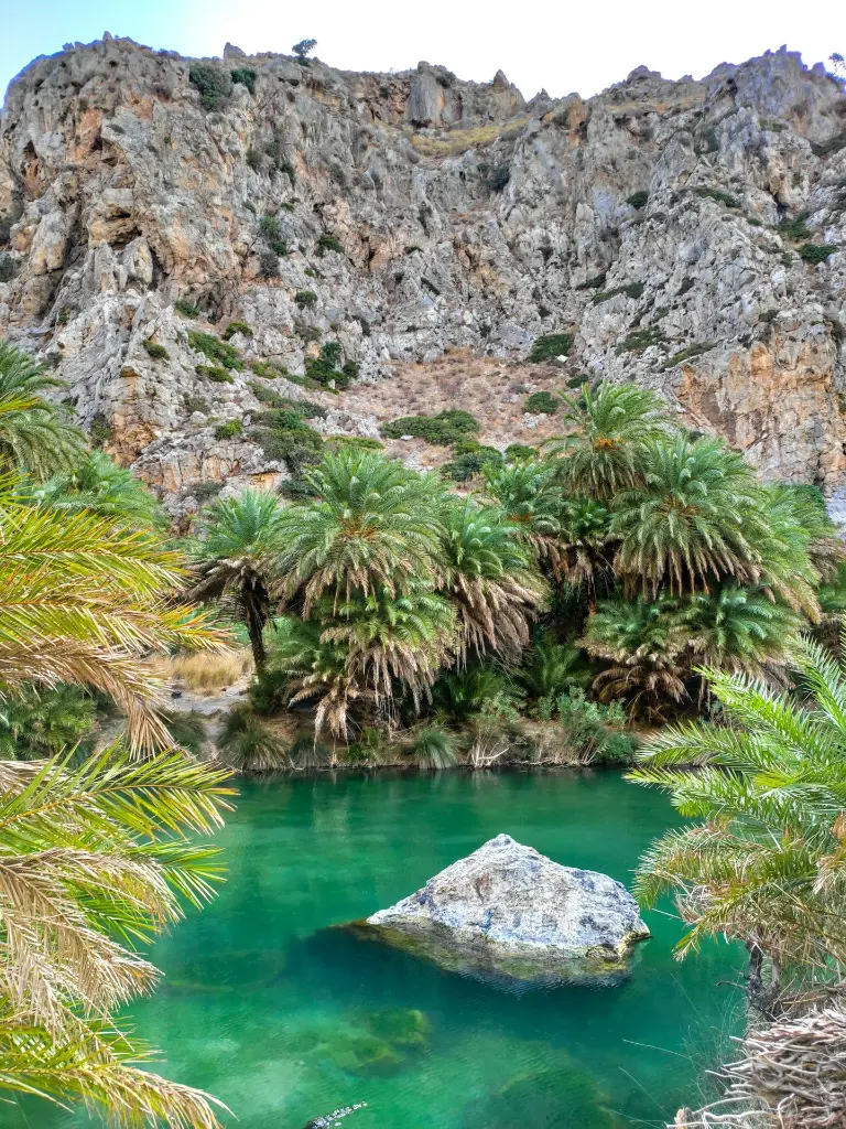 unsplash_slyAZrsDfQU_AEGINA.webp.jpg.jpg.jpg.jpg.jpg.jpg.jpg.jpg.jpg.jpg