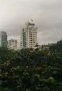 unsplash_O7OOPD98ZUM_Banglore.webp