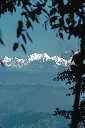 unsplash_hXqzWgF4ohM_Lachung .webp.jpg