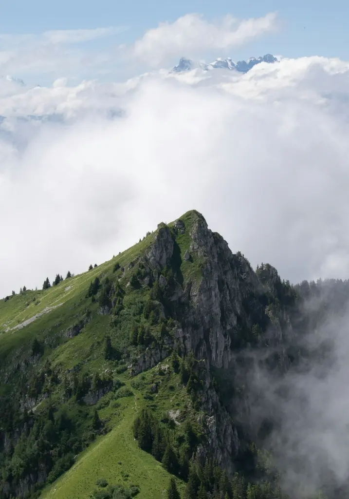image_1920