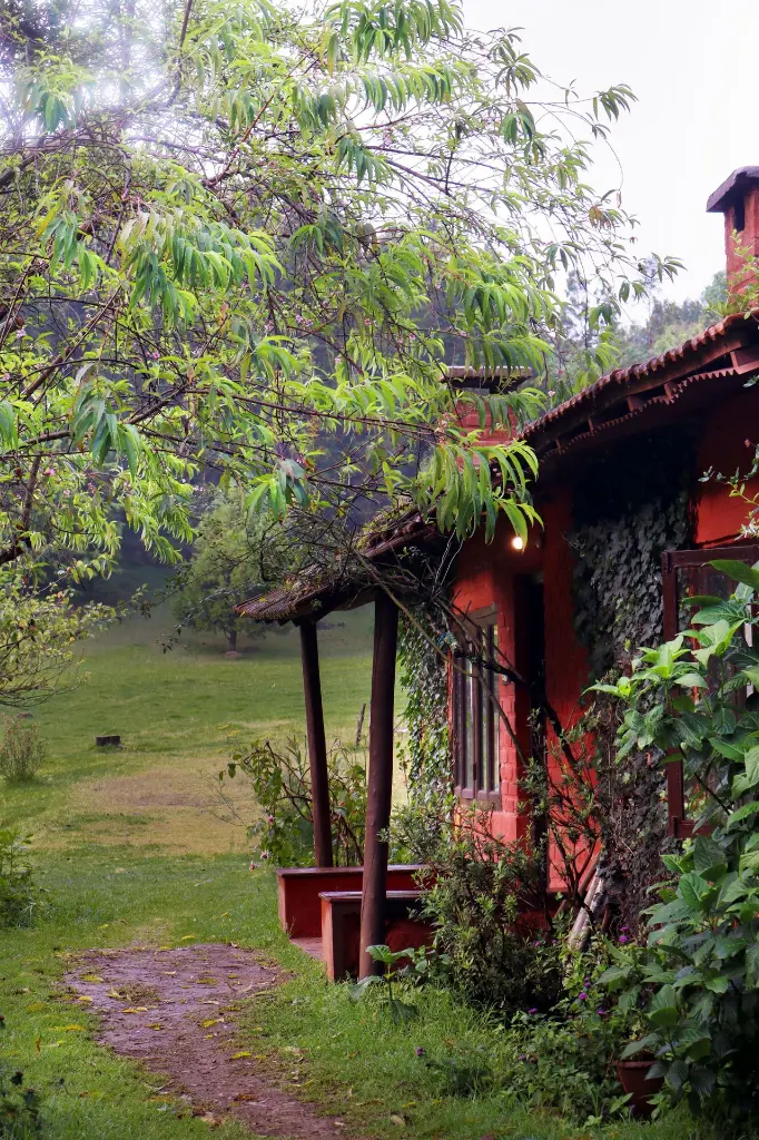 unsplash_E727GrwXU5s_Kodaikanal .webp.jpg