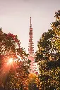 unsplash_q_xbE7RSvBI_BEIJING.webp.jpg.jpg.jpg.jpg.jpg.jpg.jpg.jpg.jpg.jpg