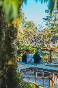 unsplash_t2KH1dkjjUA_BEIJING.webp.jpg.jpg.jpg.jpg.jpg.jpg.jpg.jpg.jpg.jpg.jpg