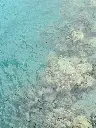 unsplash_-x4oQbcUAxA_Havelock Island.webp