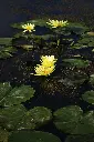 image_1920