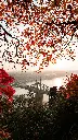 image_1920