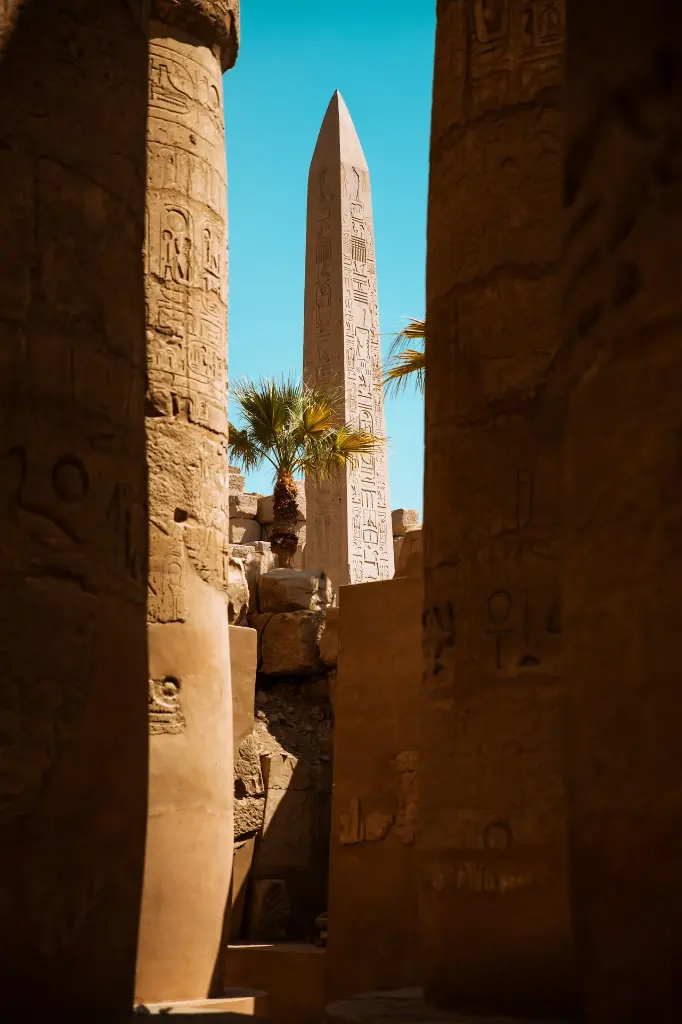 unsplash_1nAnkbvf2cw_CAIRO.webp.jpg.jpg.jpg.jpg.jpg
