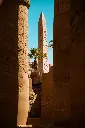 unsplash_1nAnkbvf2cw_CAIRO.webp.jpg.jpg.jpg.jpg.jpg