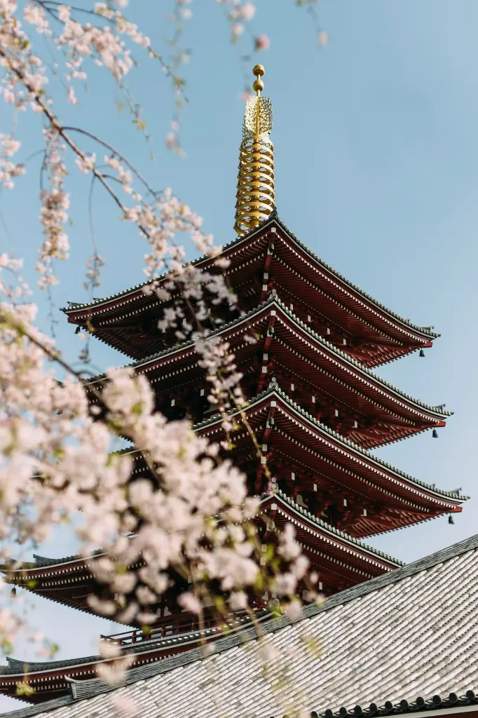 unsplash_xBnqIf2vy7M_Japan.webp.jpg.jpg.jpg.jpg