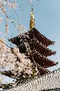 unsplash_xBnqIf2vy7M_Japan.webp.jpg.jpg.jpg.jpg